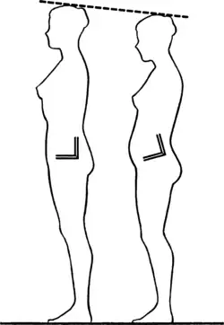 1. A tilted pelvis thrusts stomach forward and hips out. Good posture can add inches to your height.
