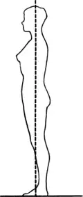 2. If you are standing correctly, an imaginary line can be drawn from the top of the skull through ear, neck, shoulders, hips, knees, and instep.