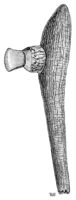 Prehistoric Times - Fig 109.png