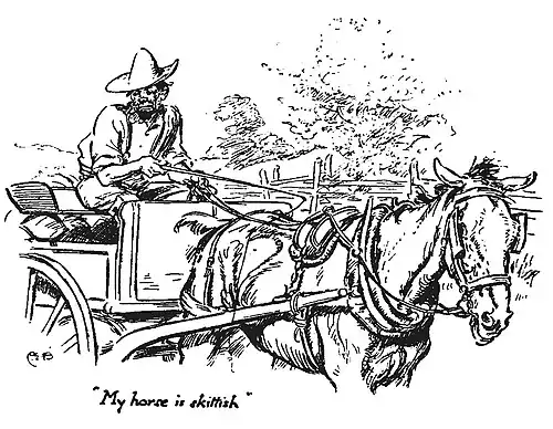 My horse is skittish