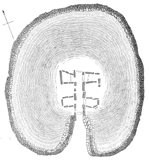 Rude Stone Monuments 0190.png