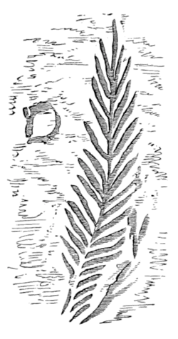 Rude Stone Monuments 0233a.png