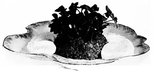 Cowslip and Cream Cheese Salad.