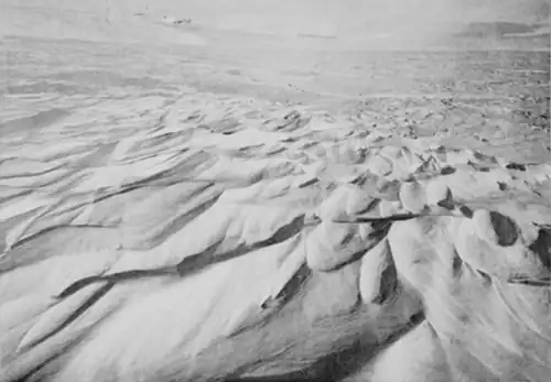 A series of long, wavelike ridges or grooves formed on a snow surface; dunes of snow