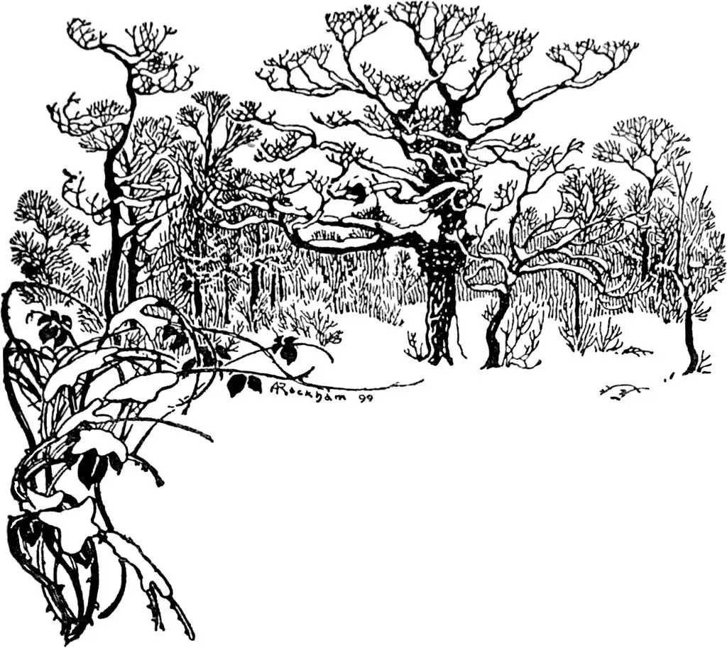 image header chapter IX: "Watching Birds in the Greenwoods" by Arthur Rackham