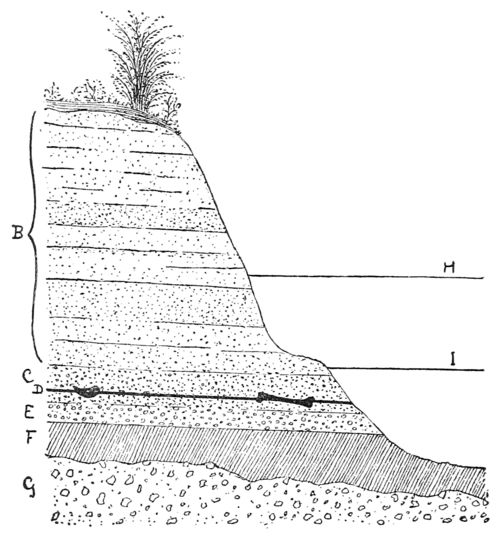Smithsonian Report (1898), 0528.png