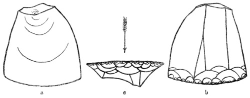 Smithsonian Report (1909), 0641a.png