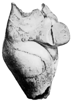 Smithsonian Report (1909), 0651b.png