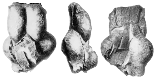 Smithsonian Report (1909), 0653a.png