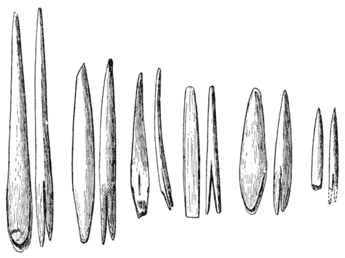 Smithsonian Report (1909), 0659.png