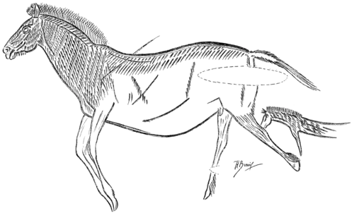 Smithsonian Report (1909), 0688.png