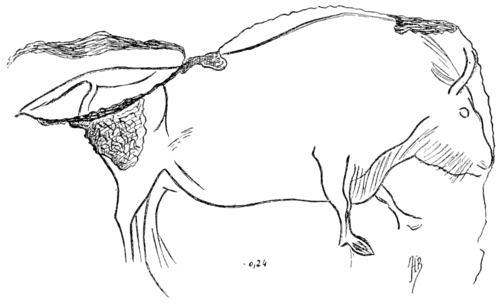 Smithsonian Report (1909), 0691.png