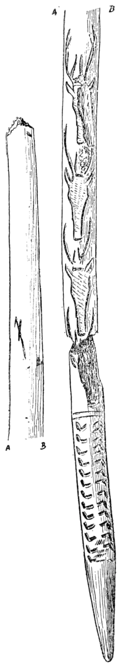 Smithsonian Report (1909), 0698.png