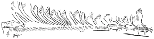 Smithsonian Report (1909), 0699.png