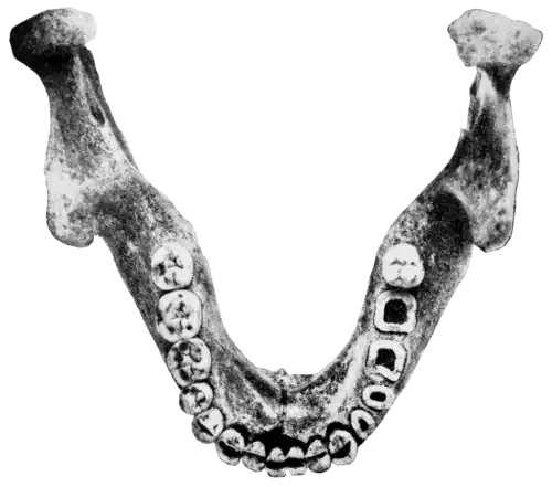 Smithsonian Report (1909), 0704a.png