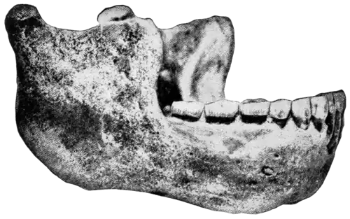 Smithsonian Report (1909), 0704b.png