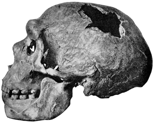 Smithsonian Report (1909), 0711a.png