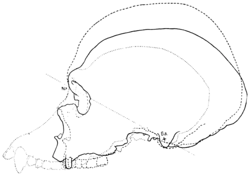 Smithsonian Report (1909), 0711b.png