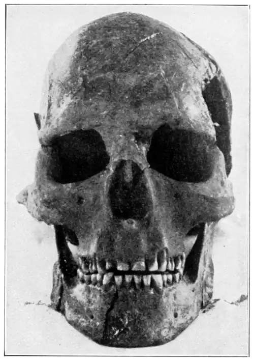 Smithsonian Report (1909), 0717a.png