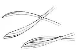 Point of lazy-tongs, which a séance participant may have felt “scratching, striking, and pulling” him.