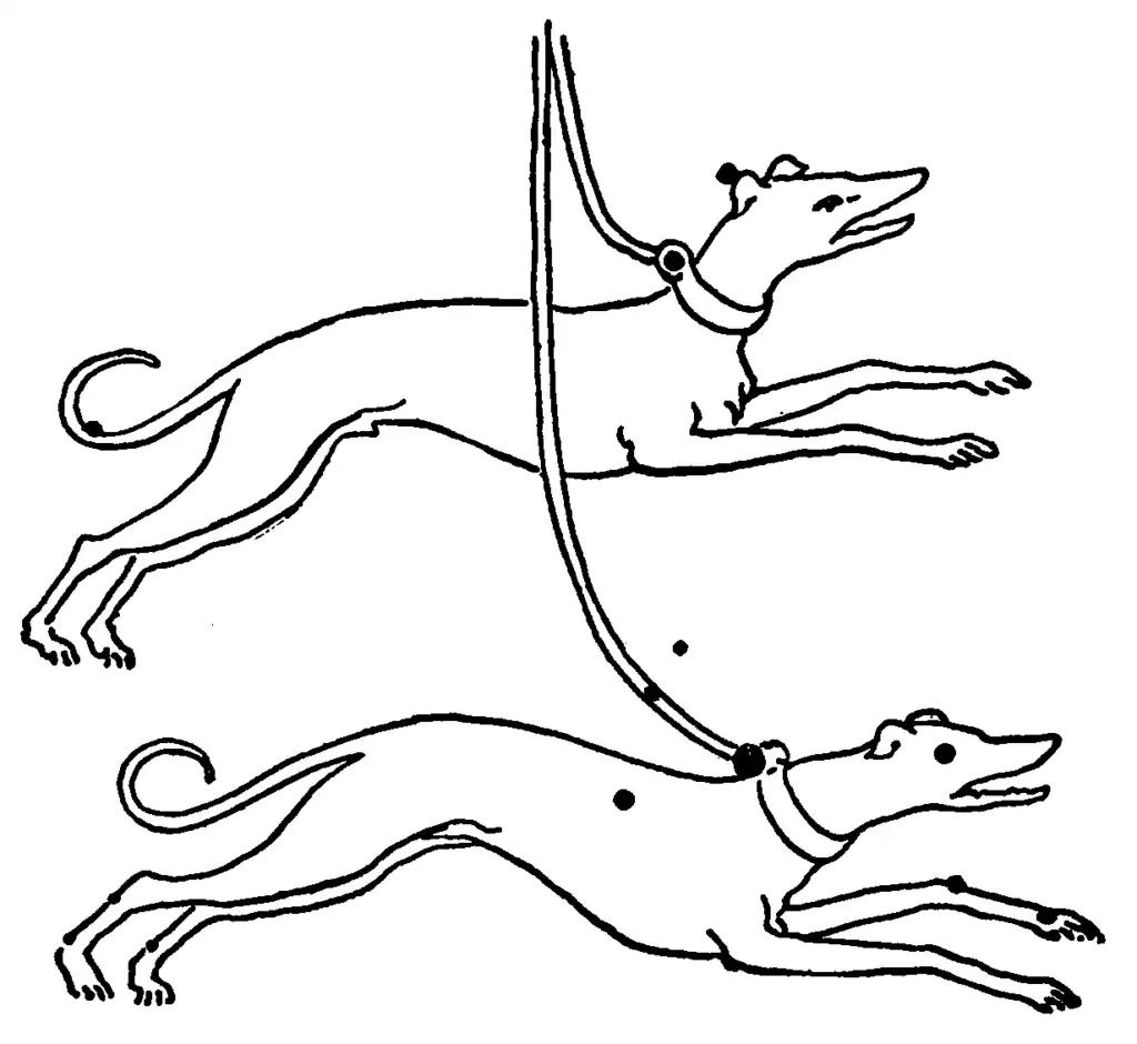 The constellation Canes Venatici pictured as two dogs with the major stars denoted