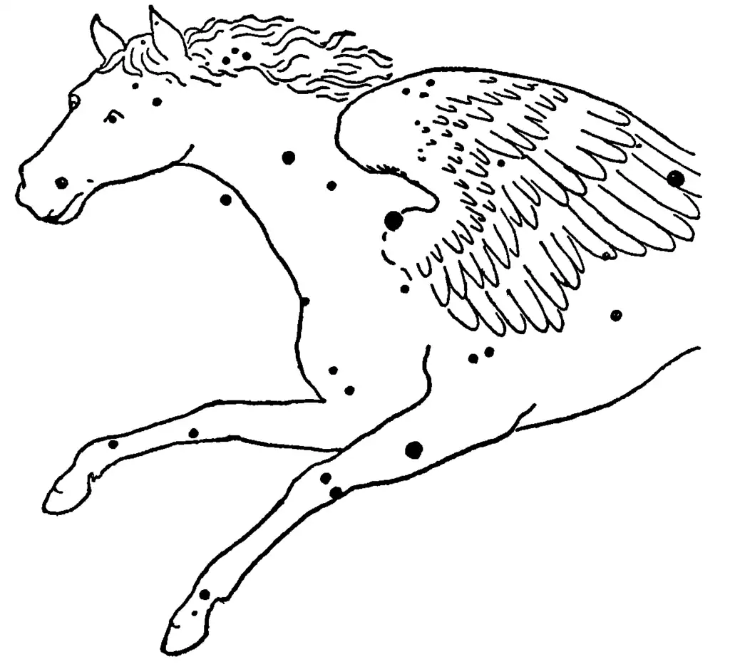 The constellation Pegausus pictured as a winged horse with the major stars denoted
