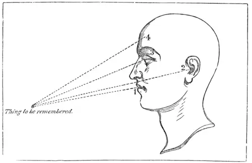 Diagram illustrative of the simultaneous operation of lingual, aural, visual, and intellectual