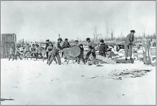 Boys cutting wood at the Fort Resolution, Northwest Territories, school. Canada, Department of Interior, Library and Archives Canada, PA-048021.