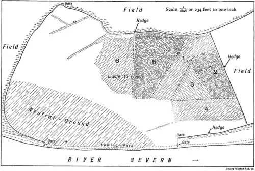Territory in bird life p88