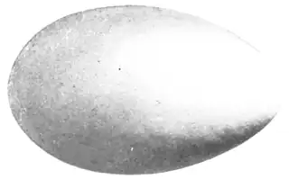 Chalky bluish white, stained buff