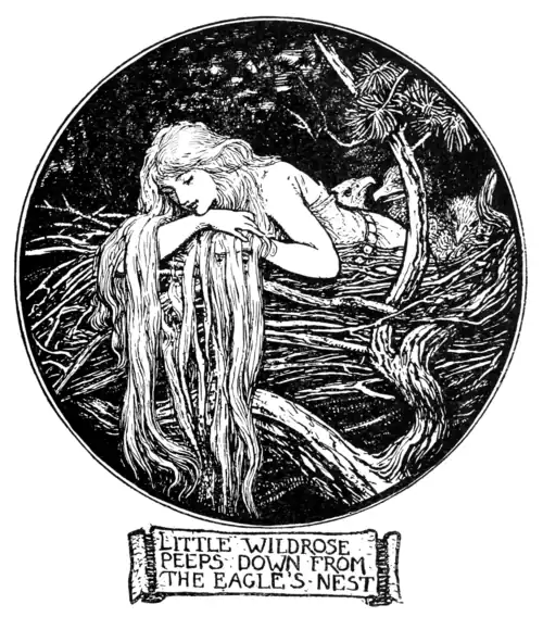 LITTLE WILDROSE PEEPS DOWN FROM THE EAGLE’S NEST