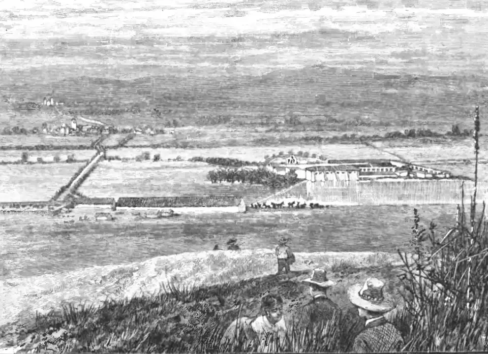 Click on image to enlarge.