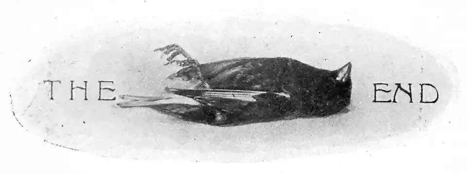 Small bird lying on its back bookended by the words THE END