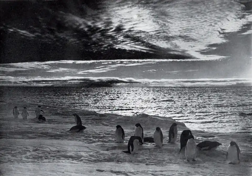 Photo of an icy shore with penguins, open water, and the sun visible through cirrostratus clouds