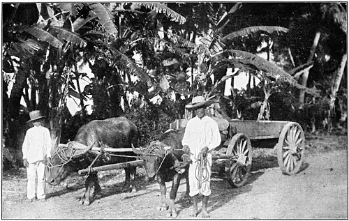 On the Main Road Across the Island of Guam