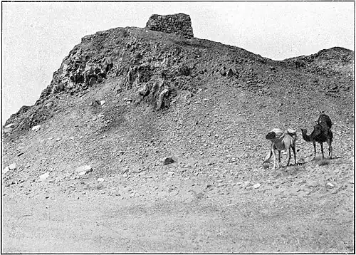 Fig. 31—ʻAḳabat Ajla, watchtower of al-Brejǧ.