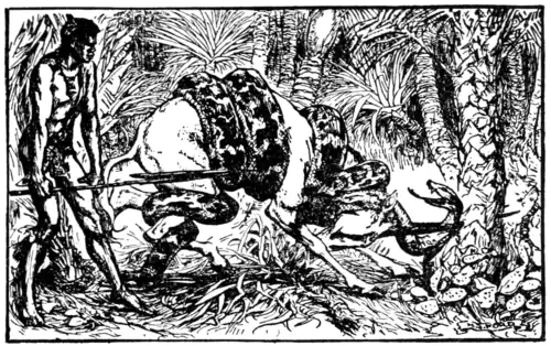 GOPANI KUFA SEES A STRANGE SIGHT