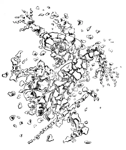 The Witch breaks into Flints