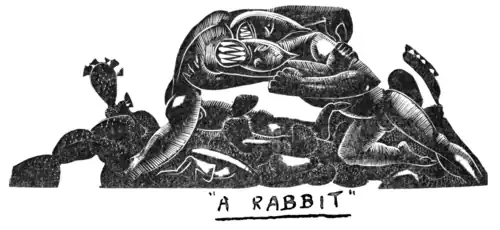 "A RABBIT"