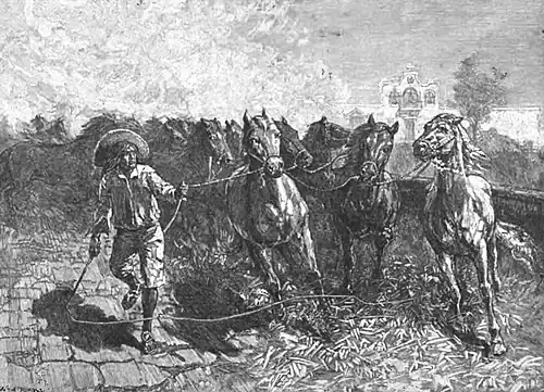 Click on image to enlarge.