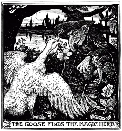 THE GOOSE FINDS THE MAGIC HERB