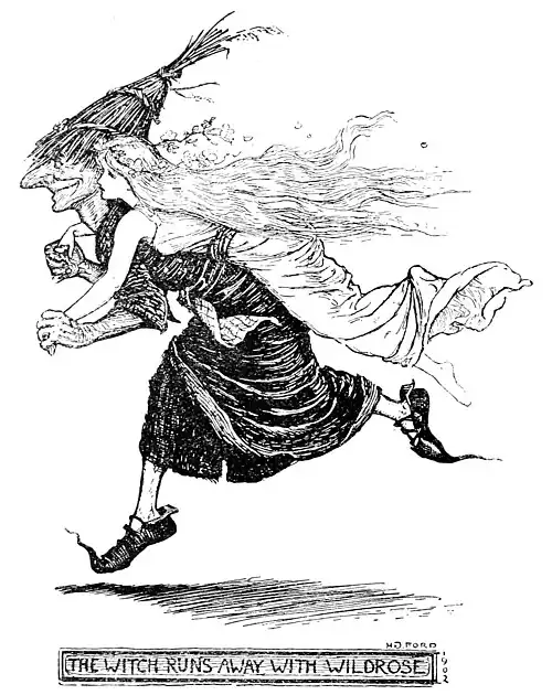 THE WITCH RUNS AWAY WITH WILDROSE