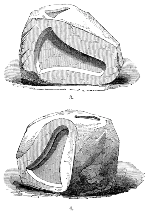 The primeval antiquities of Denmark 083.png