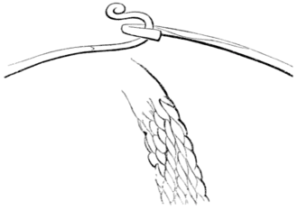 The primeval antiquities of Denmark 100b.png