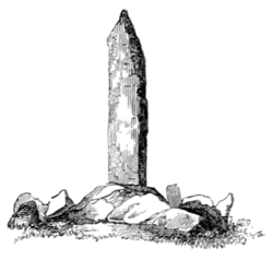 The primeval antiquities of Denmark 149a.png