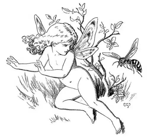 FAIRY AND WASP