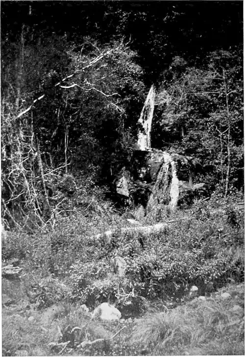 A small waterfall in the center of a bush-clad slope above a winding track