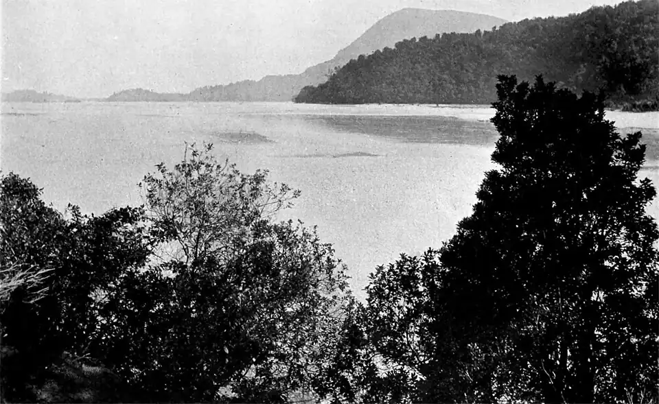 Looking through trees on one bank of the Haast River towards the mouth of the river on the left-hand side, and bush clad hills on the opposite bank