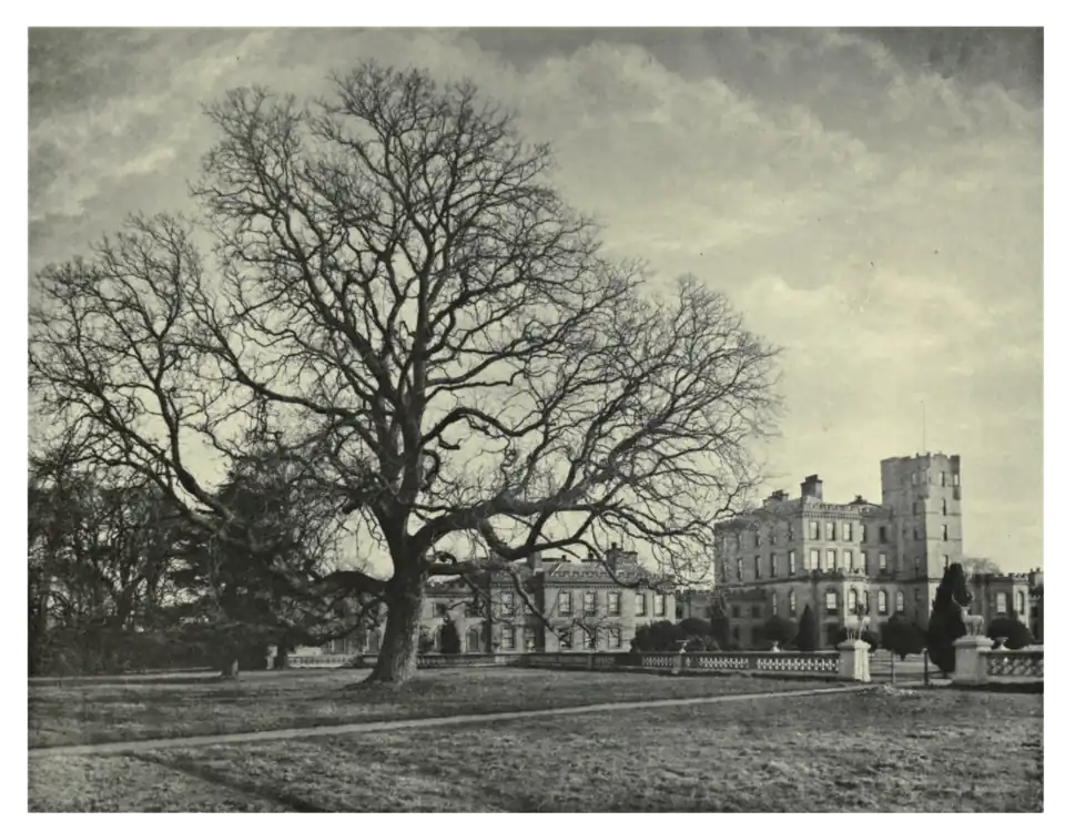 Plate 75: Walnut at Gordon Castle