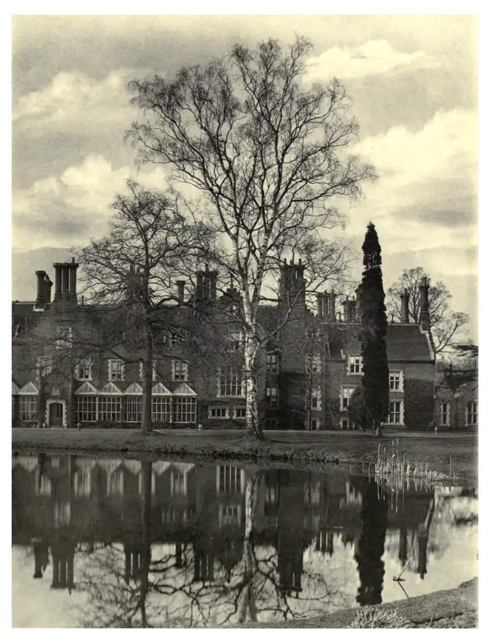 Plate 256: Birch at Merton Hall